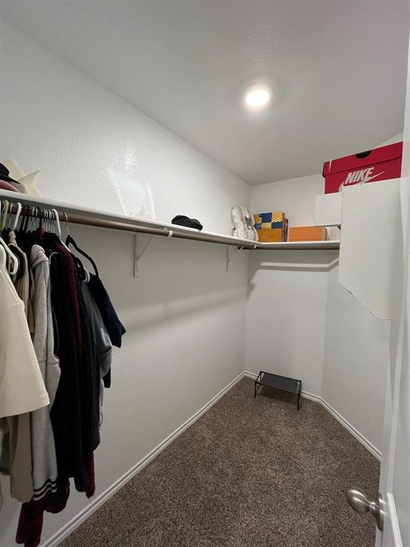 3141 Glazner Drive Forney, TX 75126 - Photo 4 of 14 Spacious closet with carpet floors