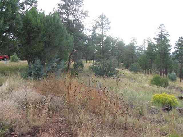 2296 Constellation Lane Overgaard, AZ 85933 - Photo 2 of 9
