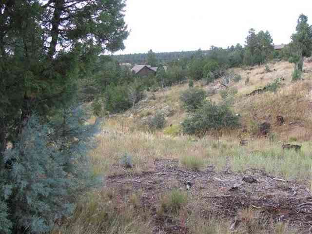 2296 Constellation Lane Overgaard, AZ 85933 - Photo 3 of 9