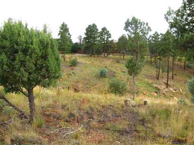 2296 Constellation Lane Overgaard, AZ 85933 - Photo 5 of 9