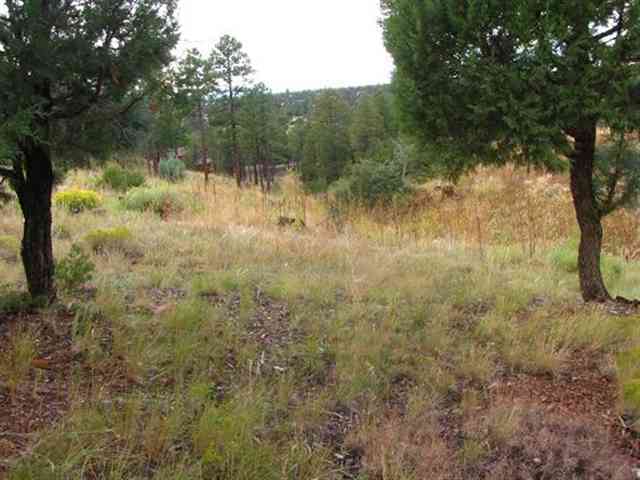 2296 Constellation Lane Overgaard, AZ 85933 - Photo 6 of 9