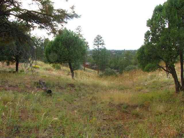 2296 Constellation Lane Overgaard, AZ 85933 - Photo 7 of 9