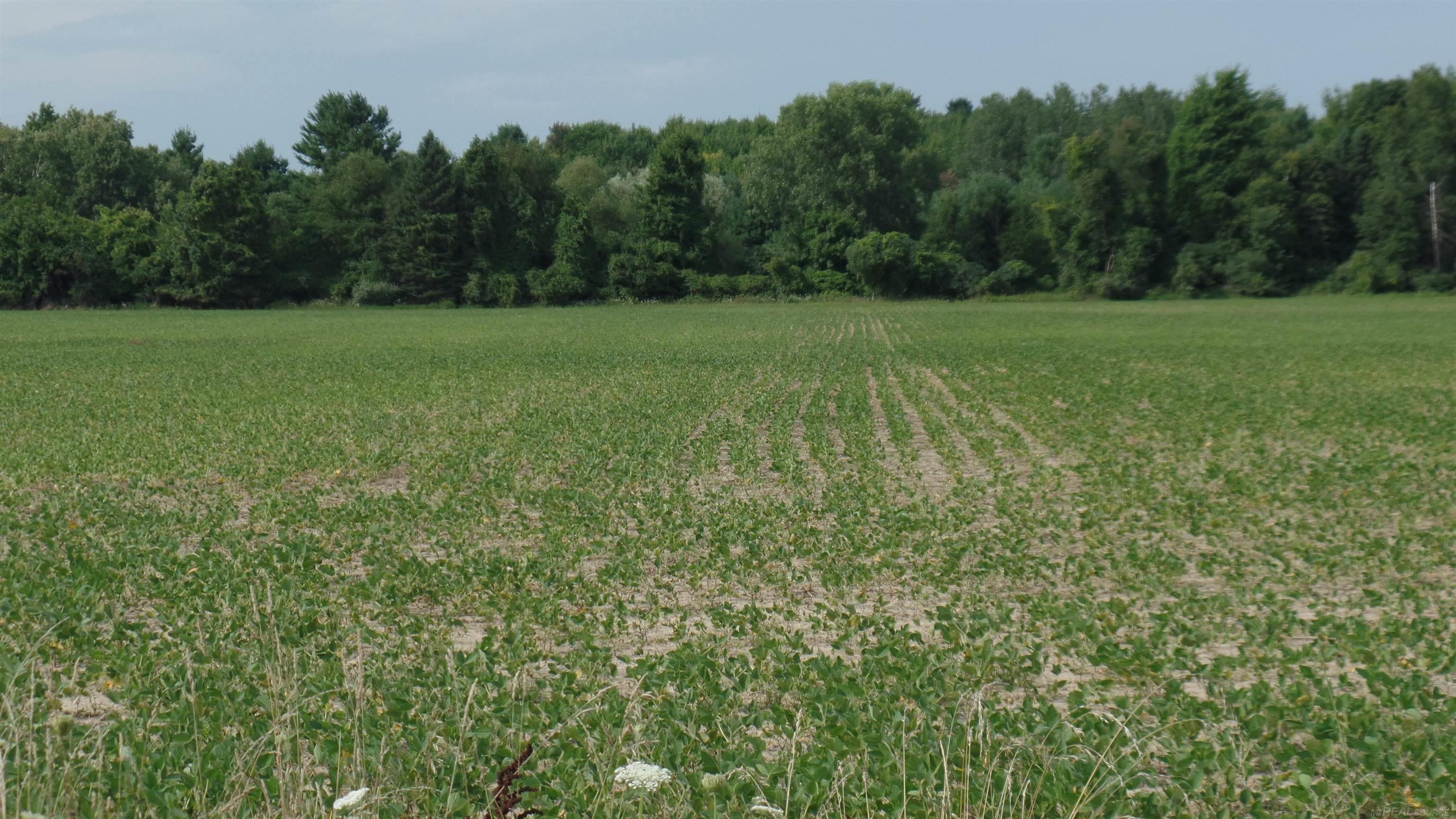 0 French Line Road Carsonville, MI 48419 - Photo 21 of 25