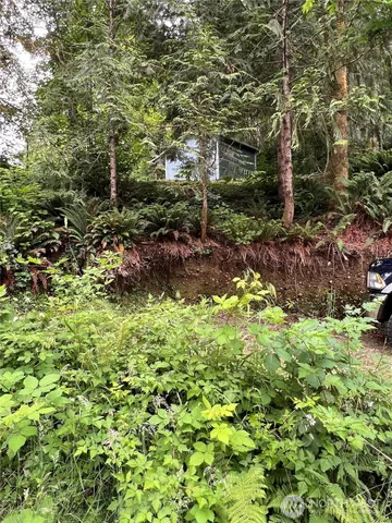 a view of a garden with plants