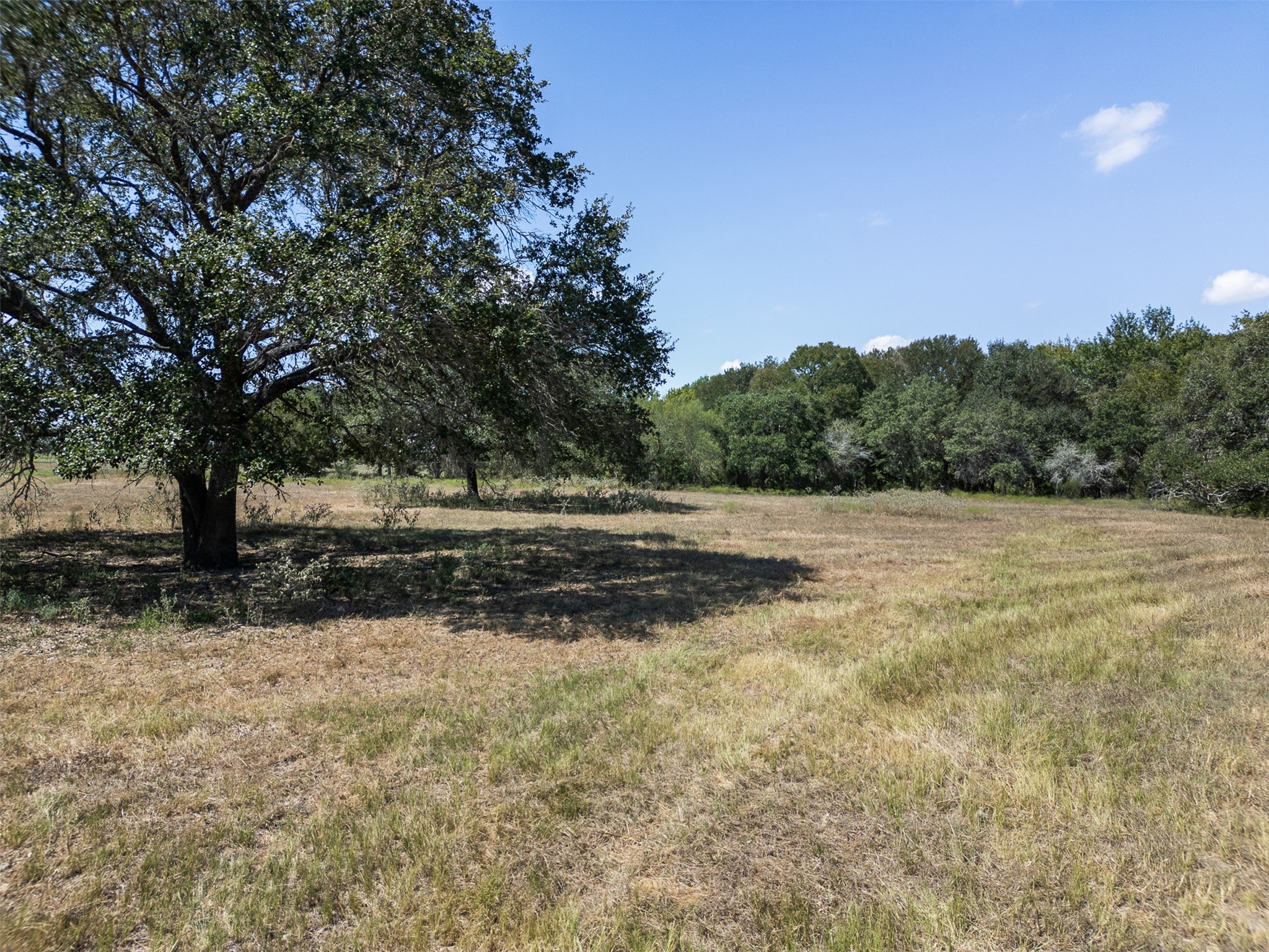 Tbd Roznov Road Round Top, TX 78954 - Photo 30 of 36 Gallery Image 30