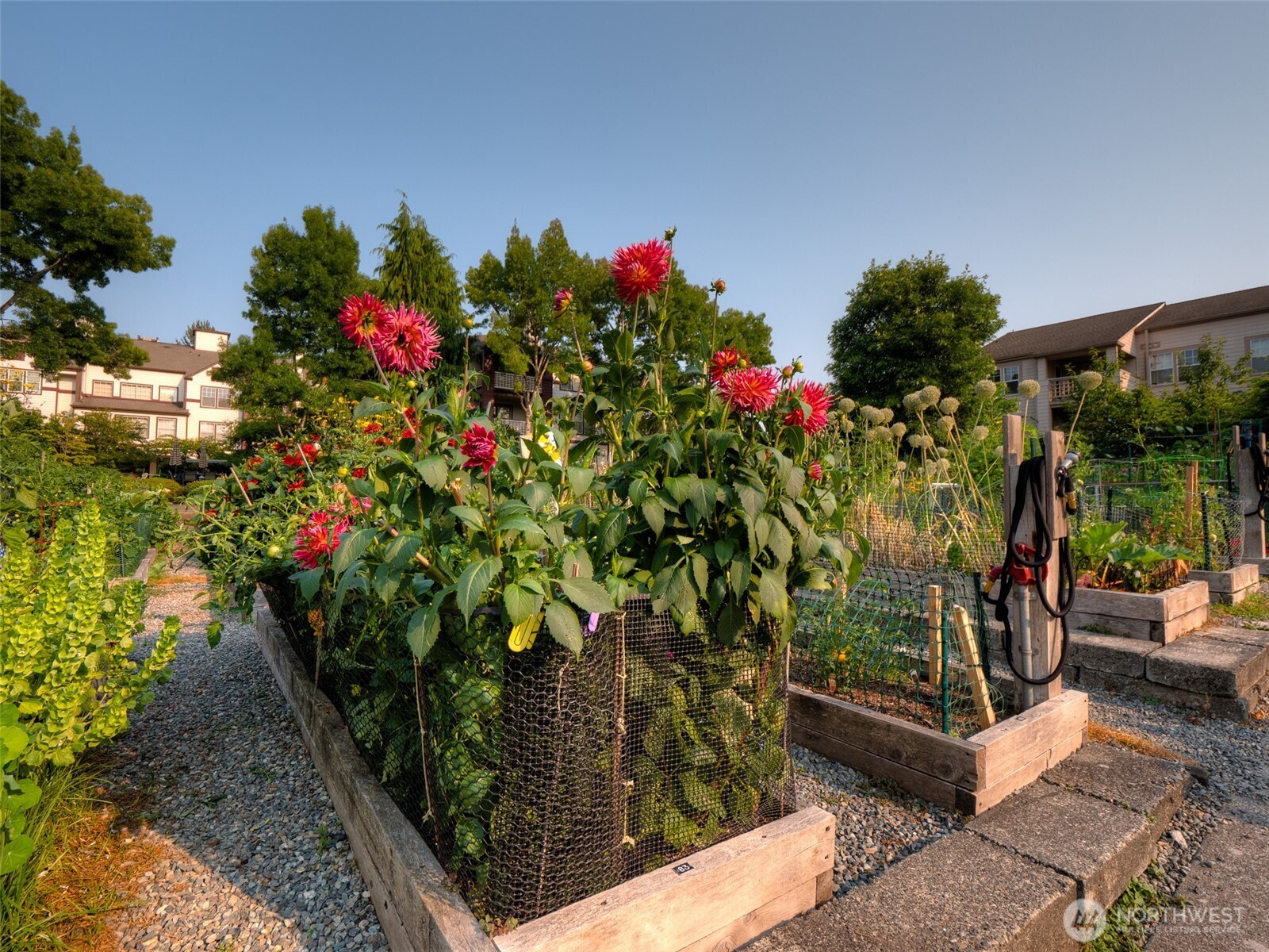 4222 221st Place Southeast, Unit 1081 Issaquah, WA 98029 - Photo 39 of 40