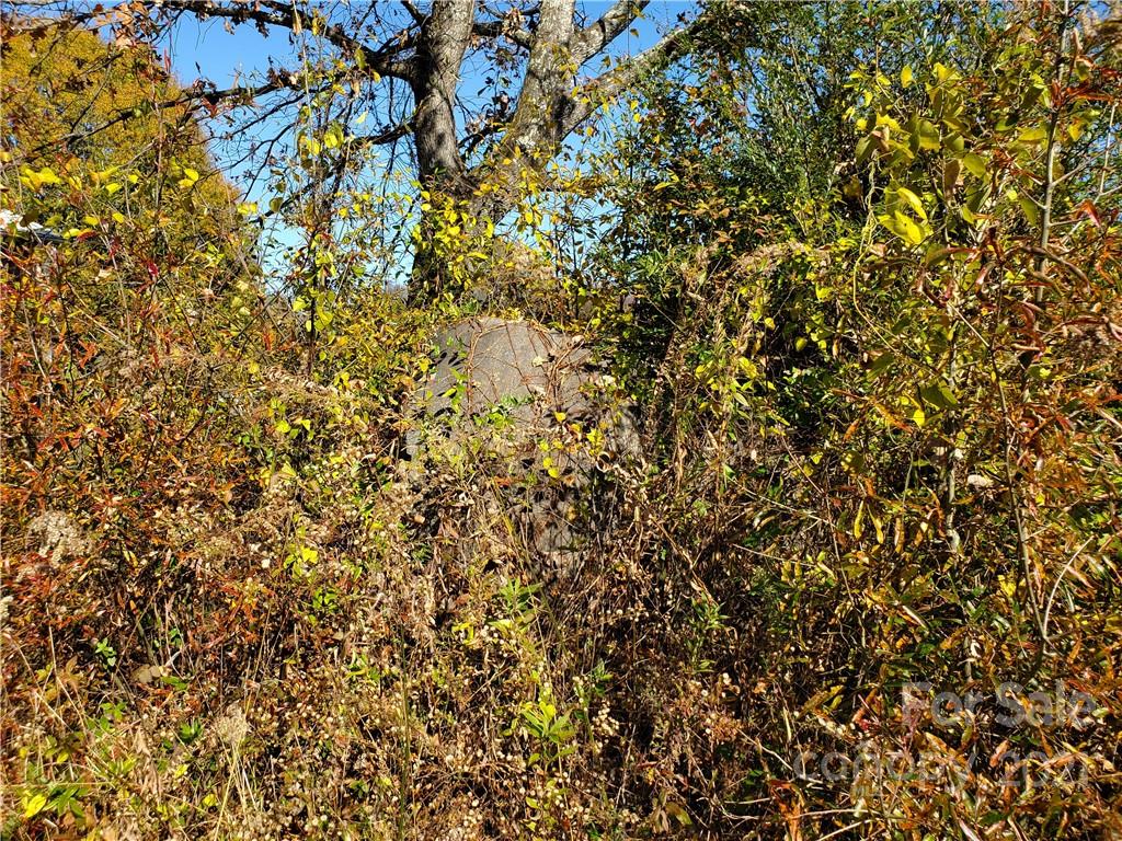 1375 Odell School Road Concord, NC 28027 - Photo 7 of 15 Gallery Image 7