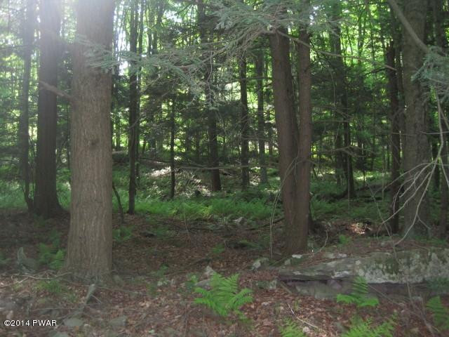 51 Sterling Shrs Road Lake Ariel, PA 18436 - Photo 5 of 8
