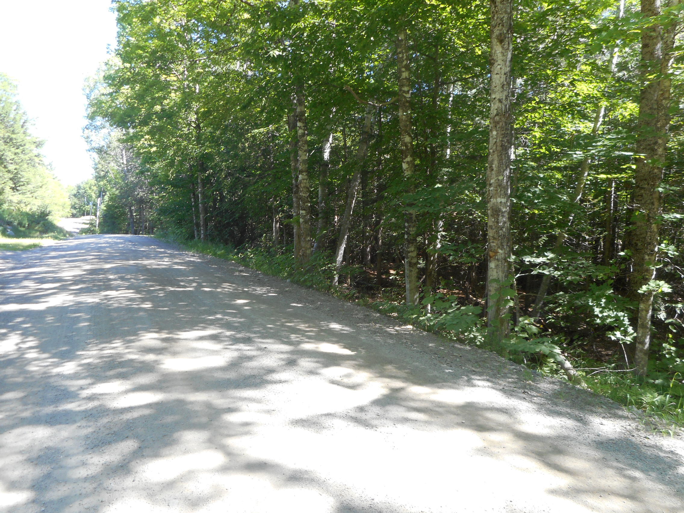 Lot 10 North Road Lee, ME 04455 - Photo 7 of 9 DSCN3160