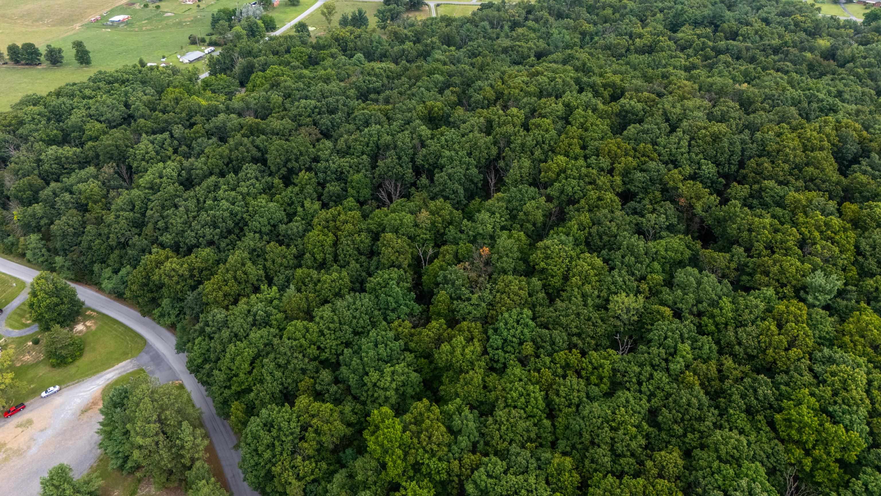 0 Pine Bluff Road Waynesboro, VA 22980 - Photo 13 of 29 Gallery Image 13