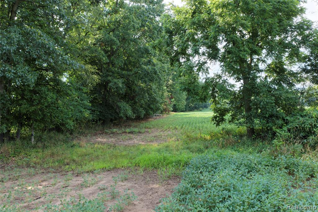 5891 North Allen Road Allen, MI 49227 - Photo 13 of 17 Gallery Image 13
