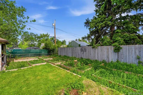 a view of a garden with plants