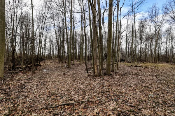 $290,000 | Vl Messenger Highway, Olivet, MI 49076