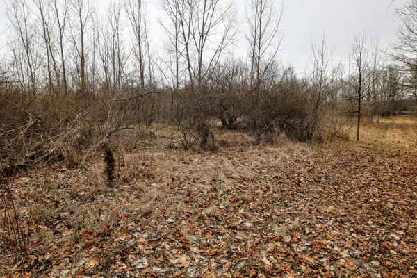 $290,000 | Vl Messenger Highway, Olivet, MI 49076