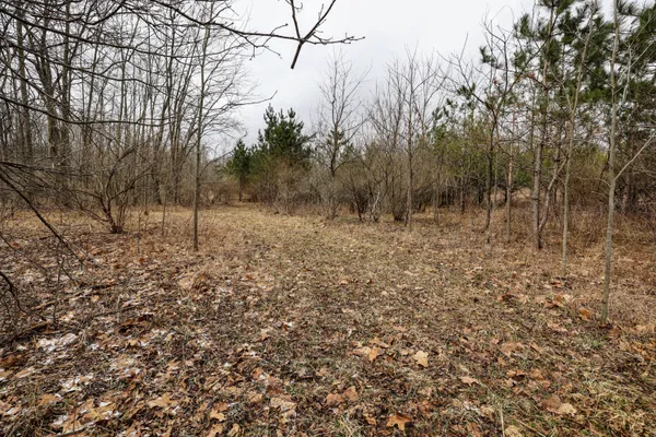 $290,000 | Vl Messenger Highway, Olivet, MI 49076