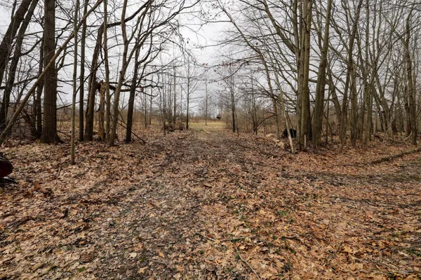 $290,000 | Vl Messenger Highway, Olivet, MI 49076