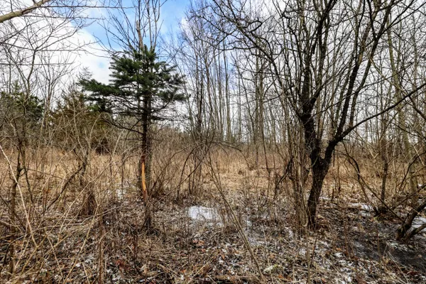 $290,000 | Vl Messenger Highway, Olivet, MI 49076