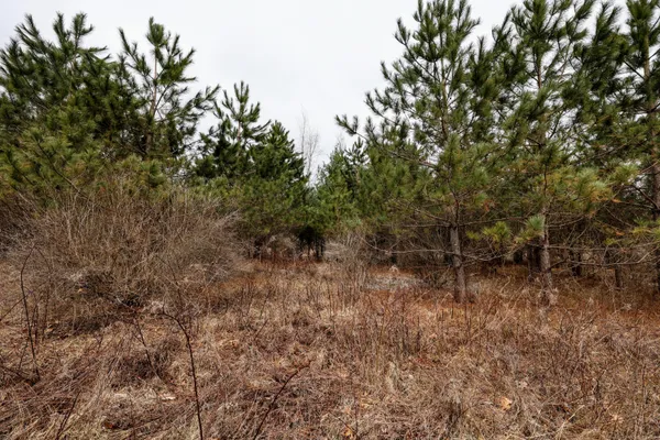 $290,000 | Vl Messenger Highway, Olivet, MI 49076