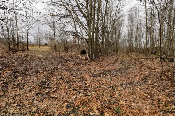 $290,000 | Vl Messenger Highway, Olivet, MI 49076