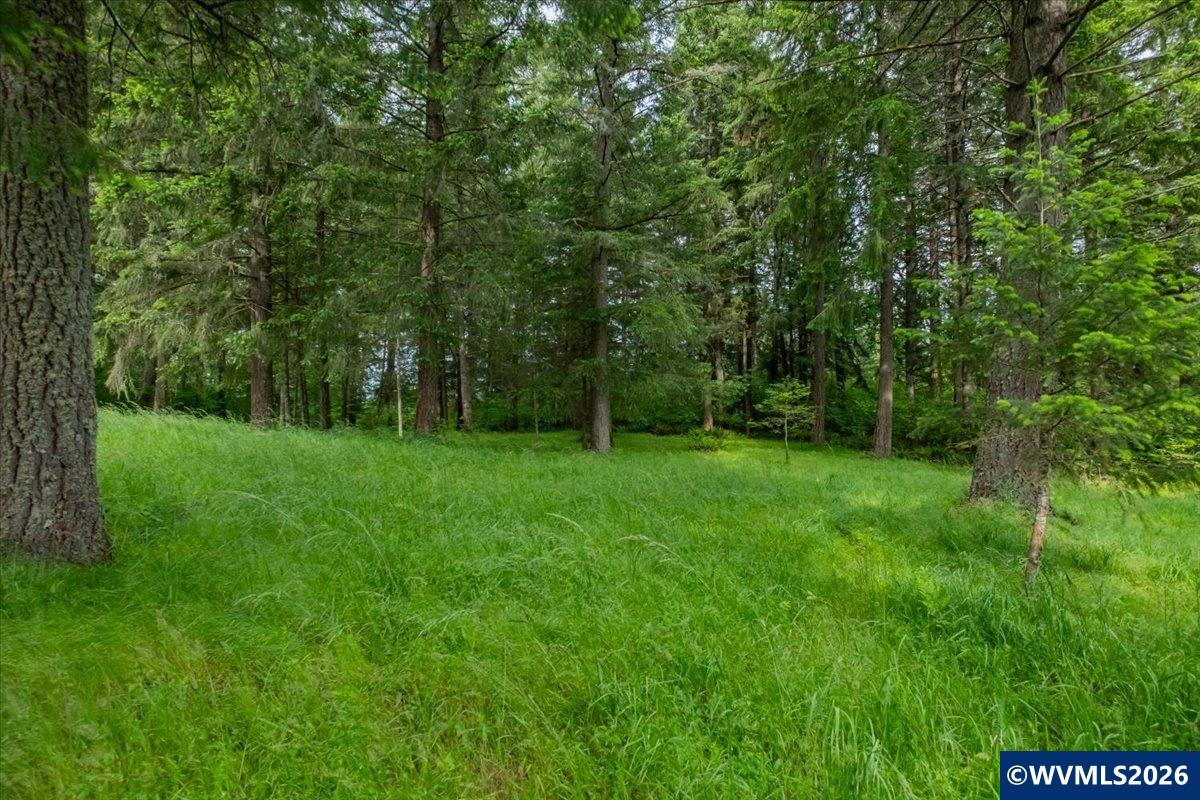 0057485 Next To 40587 Baptist Church Road Lebanon, OR 97355 - Photo 34 of 38