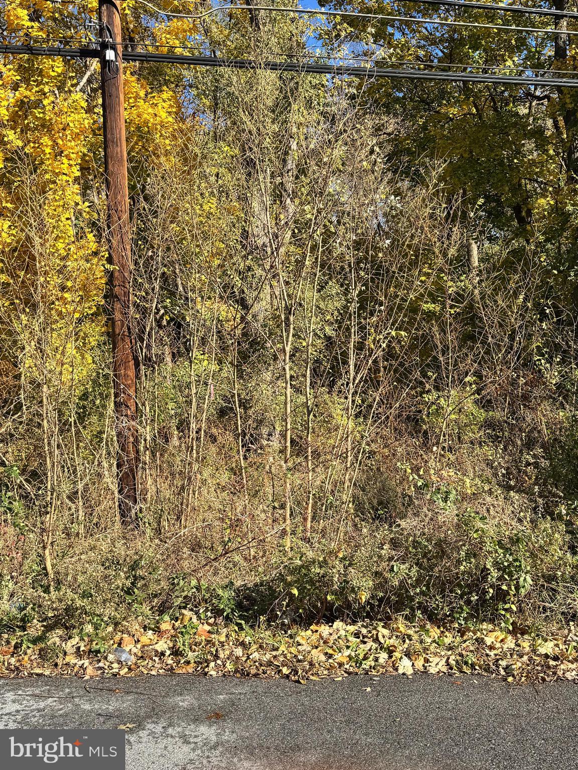 75 Rothwell Avenue Martinsburg, WV 25404 - Photo 2 of 2 a view of a pathway both side of shower