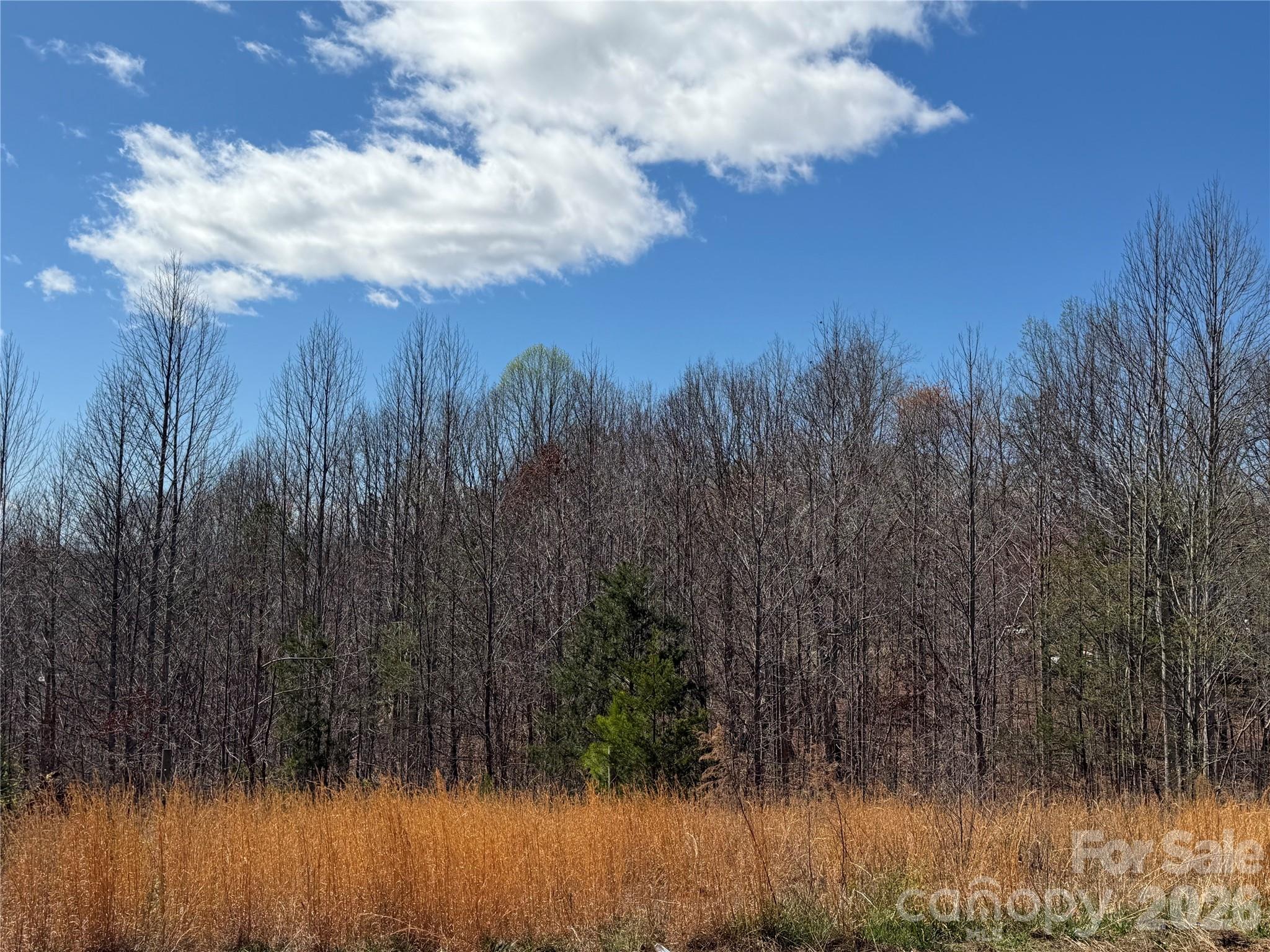 304 Woodview Farm Trail Rutherfordton, NC 28139 - Photo 4 of 23