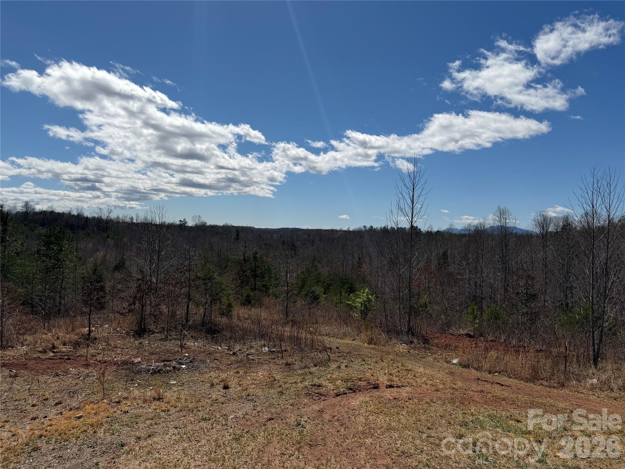 304 Woodview Farm Trail Rutherfordton, NC 28139 - Photo 8 of 23