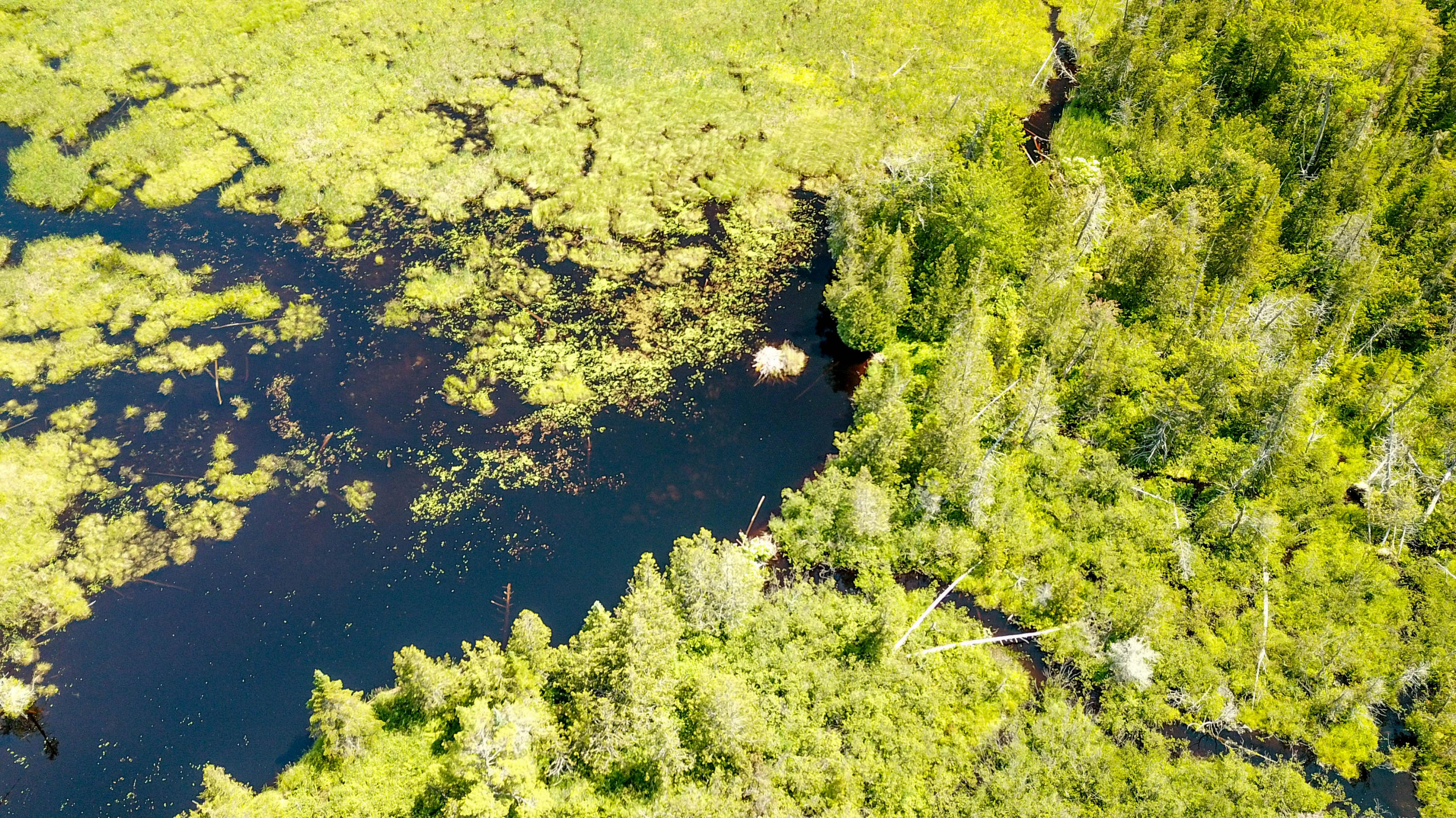 45 Cold Stream Estates Road Lincoln, ME 04457 - Photo 10 of 16 Closer View