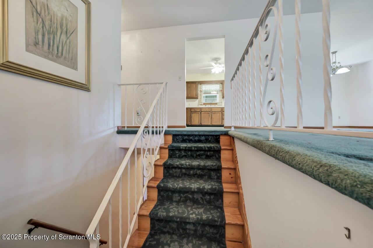 309 Lowery Street Scranton, PA 18505 - Photo 47 of 65 a view of entryway with wooden floor