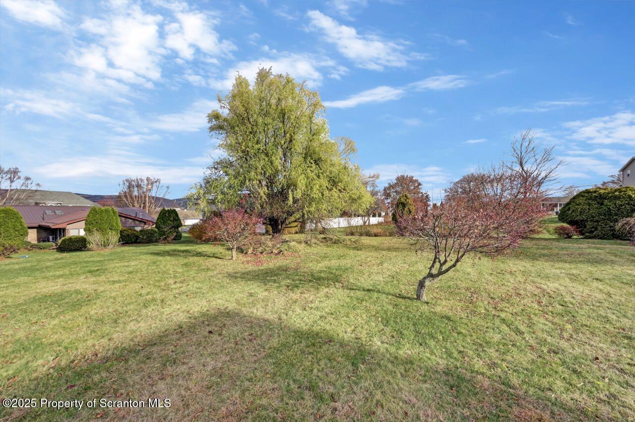 309 Lowery Street Scranton, PA 18505 - Photo 9 of 65 a view of a yard with an trees