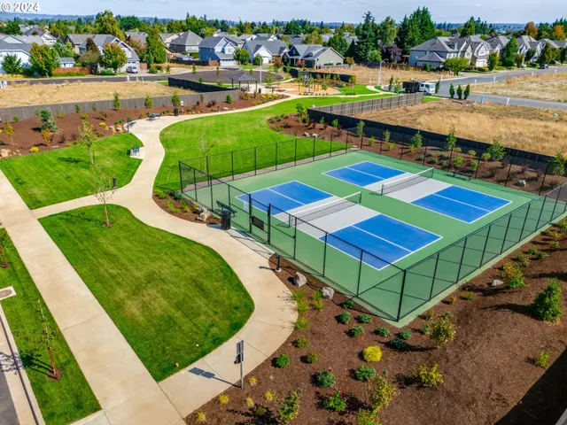 a aerial view of a tennis ground with large trees