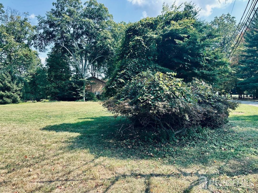 82 Ravine Drive Colonia, NJ 07067 - Photo 5 of 5