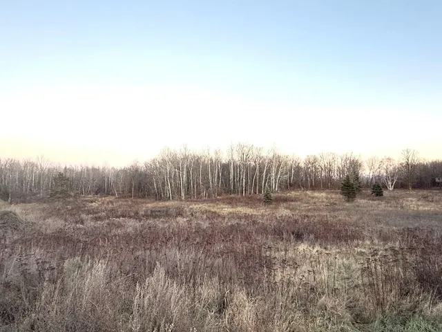 $109,000 | Tbd 370 Street, Ogema, MN 56569
