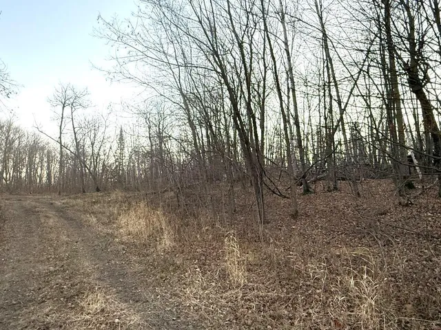 $109,000 | Tbd 370 Street, Ogema, MN 56569
