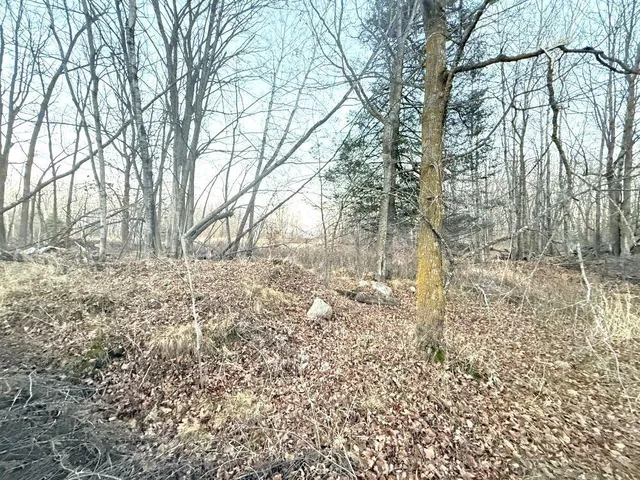 $109,000 | Tbd 370 Street, Ogema, MN 56569