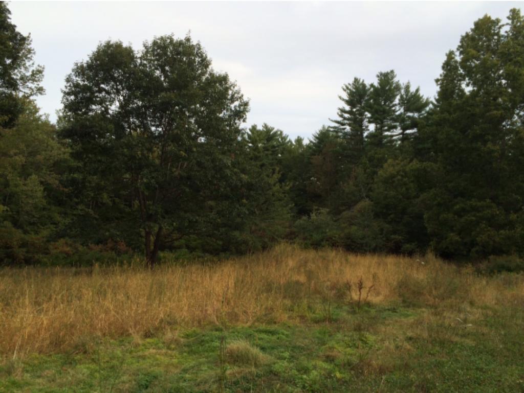 30 Junction Road South Berwick, ME 03908 - Photo 5 of 7 Gallery Image 5