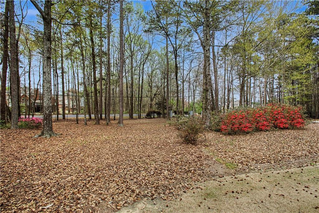 3045 Camp Branch Road Buford, GA 30519 - Photo 69 of 76 a backyard of a house with lots of green space