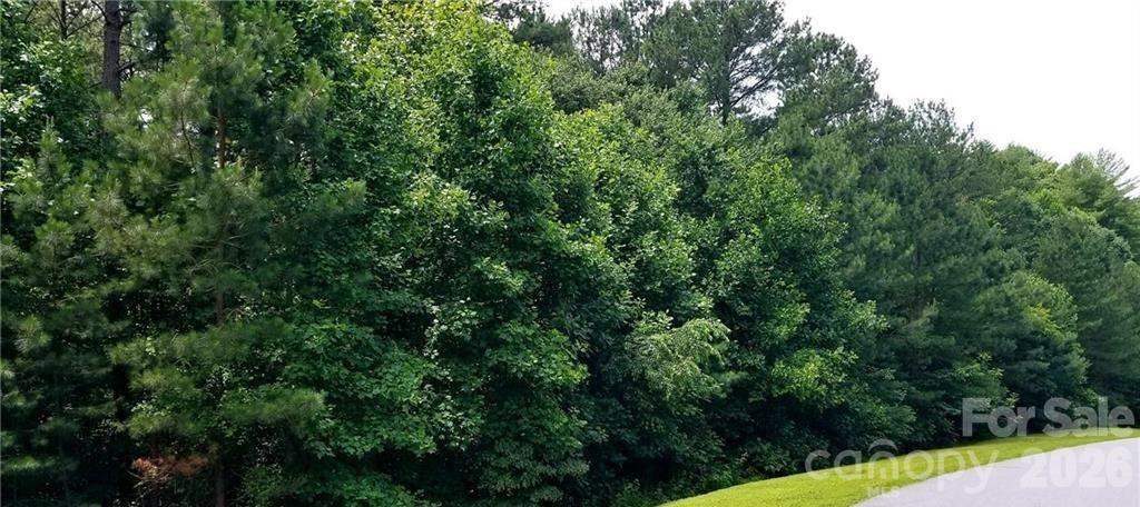 210 Harbor Ridge Drive Connelly Springs, NC 28612 - Photo 1 of 11