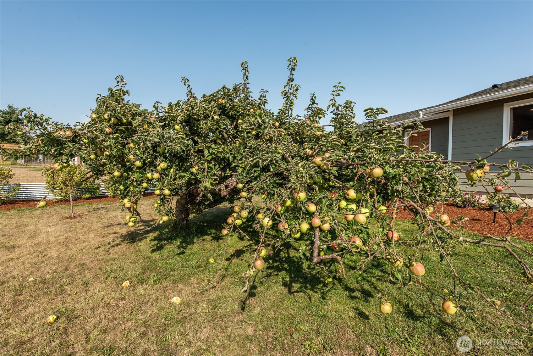 60 Ridge Place Sequim, WA 98382 - Photo 35 of 40 a view of a house with a tree