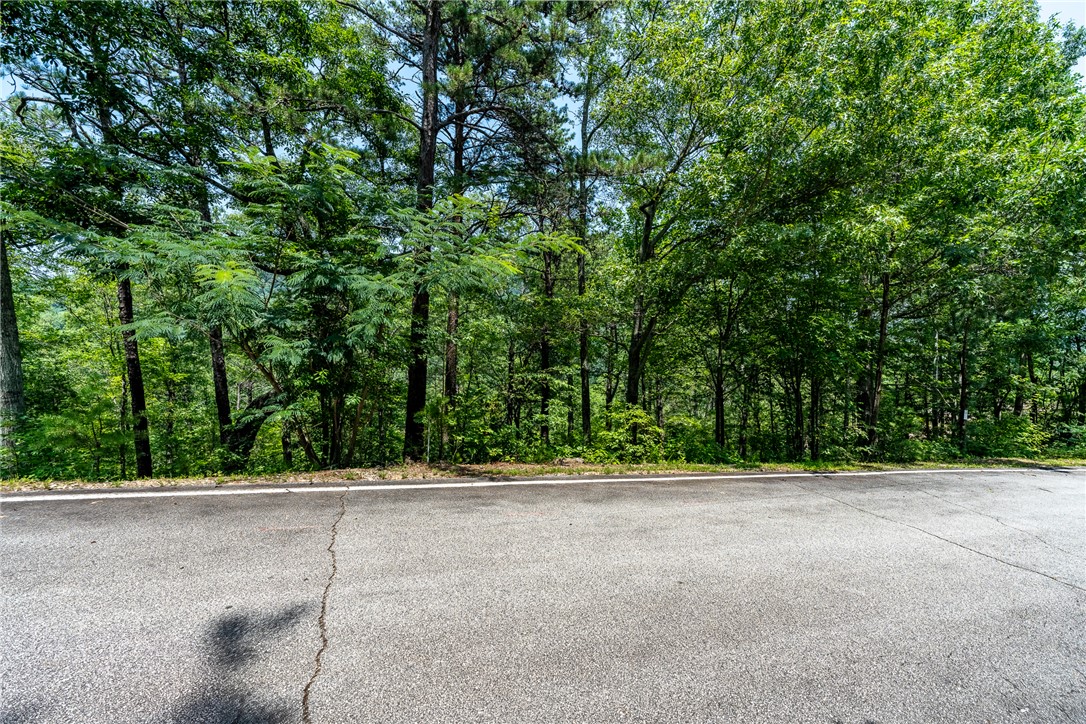 19 Foggy Ridge Way Travelers Rest, SC 29690 - Photo 9 of 27 Gallery Image 9