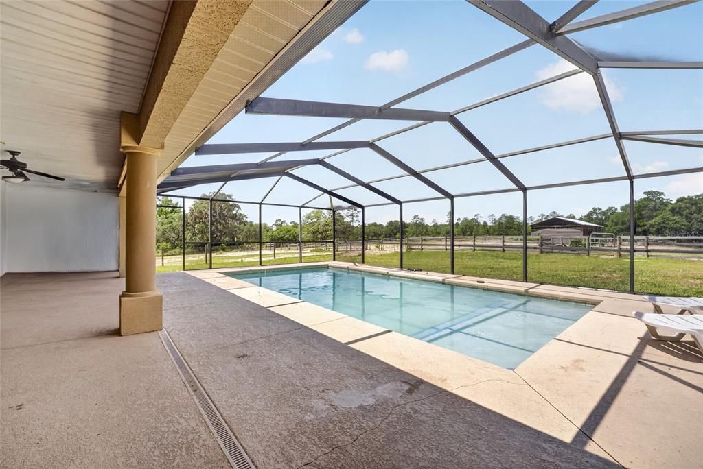 1098 Northwest 165th Ct Road Dunnellon, FL 34432 - Photo 6 of 35