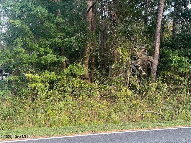 $116,000 | 4595 Mercer Mill Brown Marsh Road, Clarkton, NC 28433