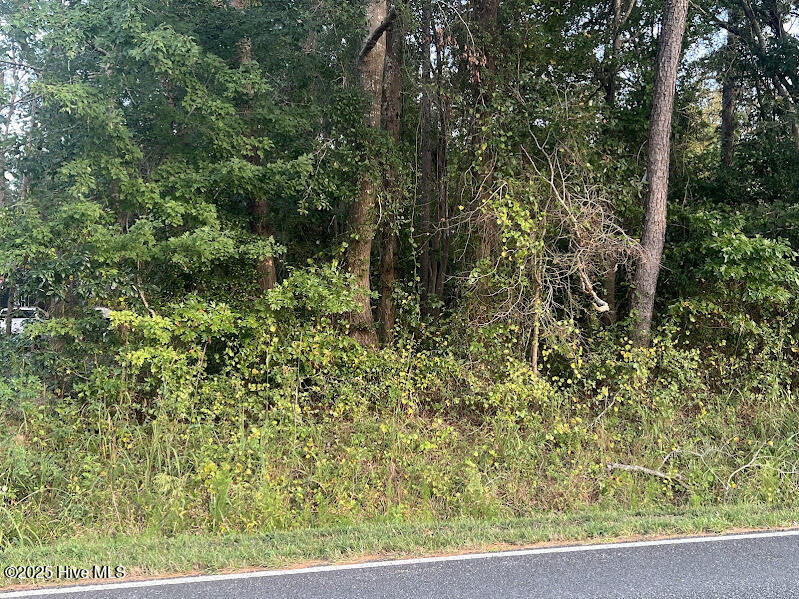 4595 Mercer Mill Brown Marsh Road Clarkton, NC 28433 - Photo 2 of 3 IMG_0298