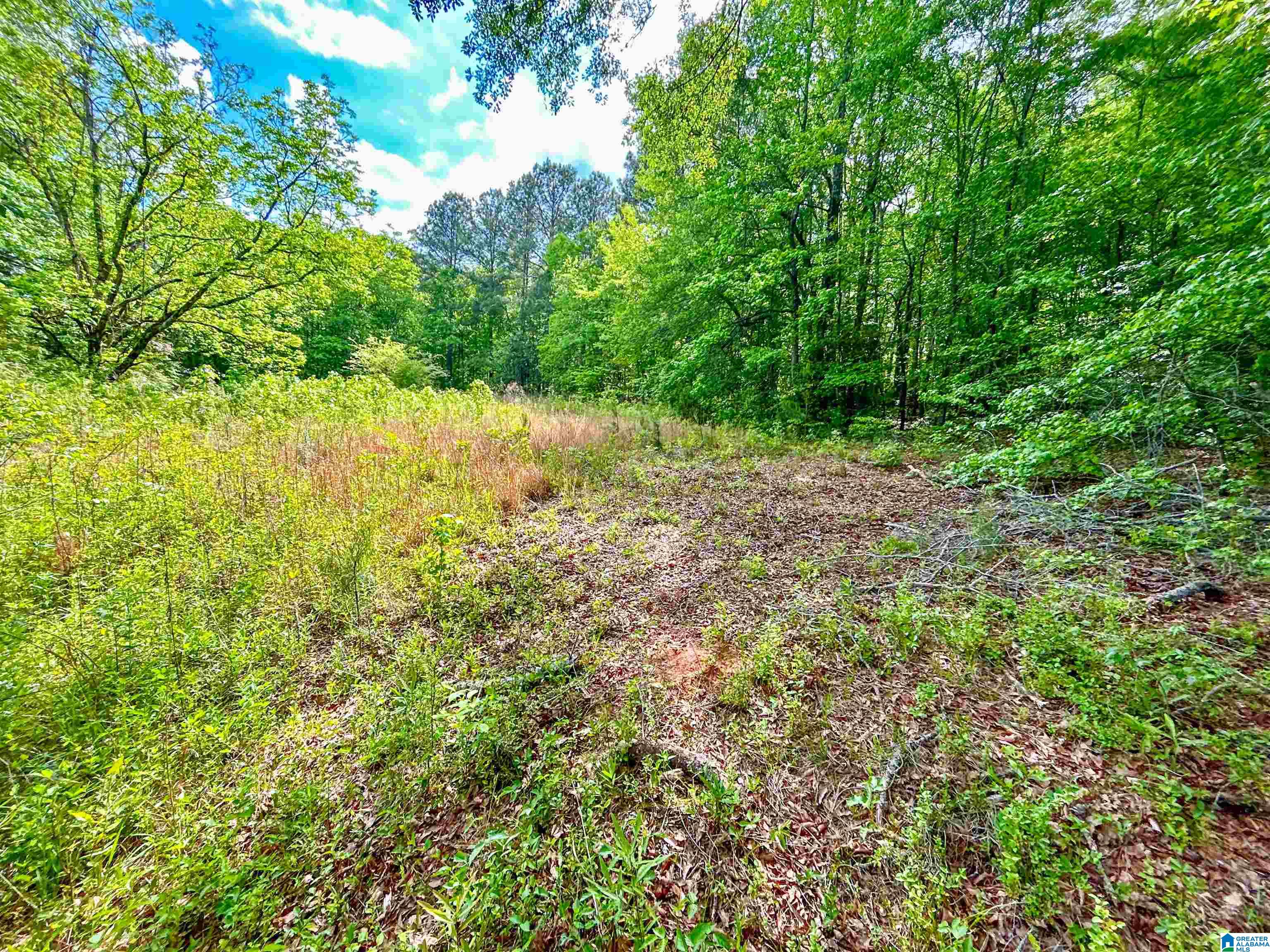 1 Old Mill Road Goodwater, AL 35072 - Photo 18 of 22
