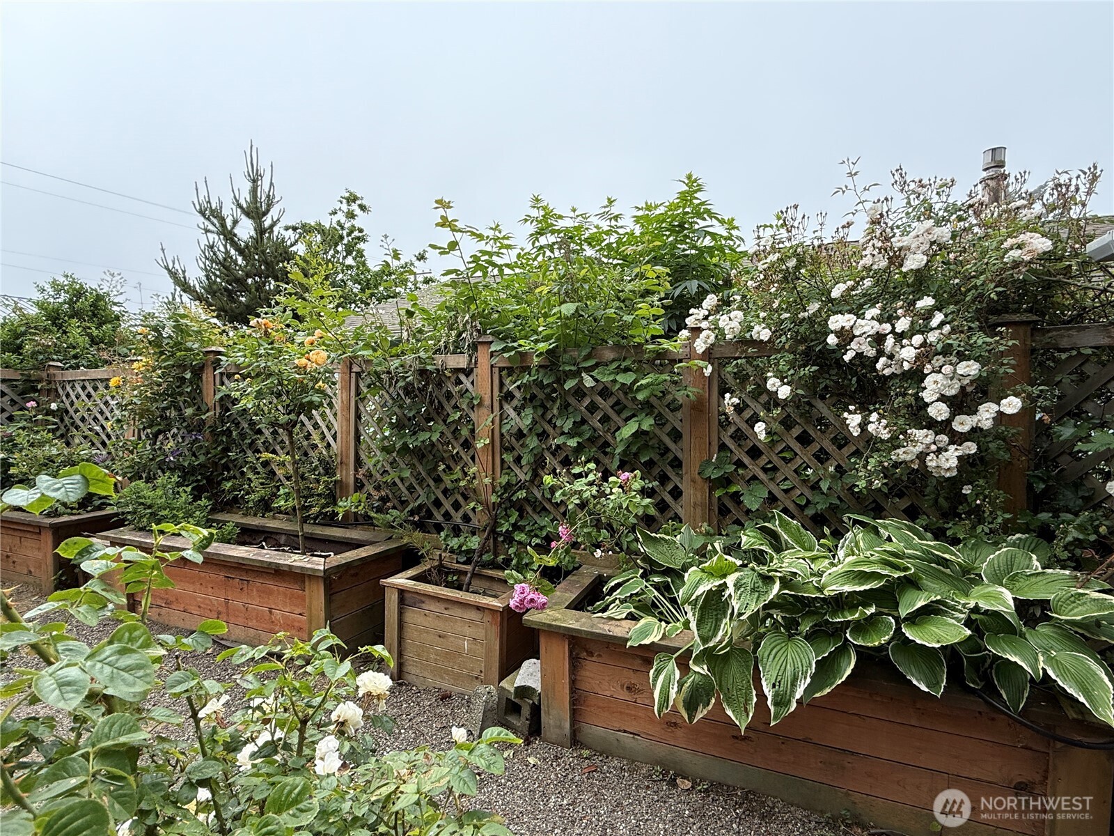 26711 Ridge Avenue Ocean Park, WA 98640 - Photo 30 of 40 Gallery Image 30