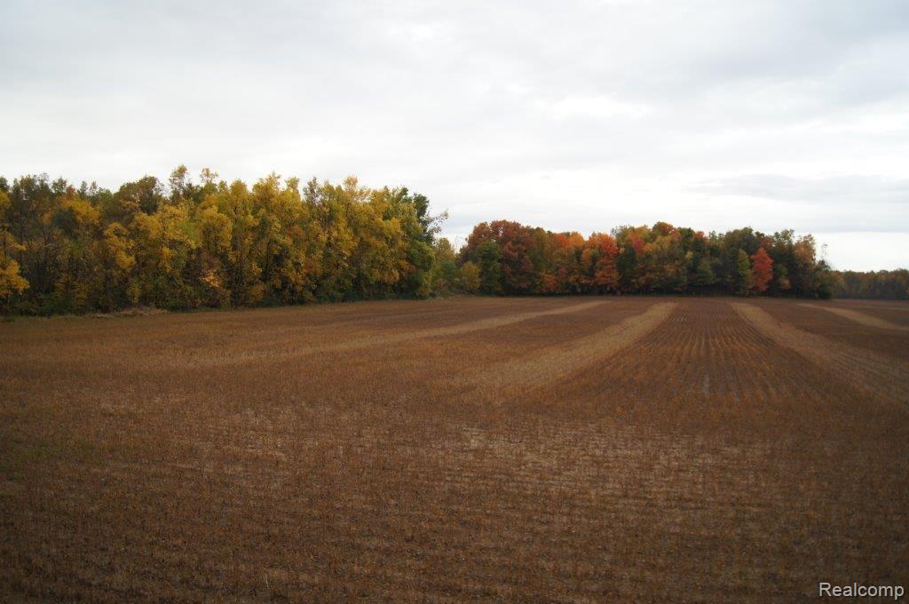 5786 Mt Morris Road Columbiaville, MI 48421 - Photo 39 of 40 5786 Mount Morris 067.jpg