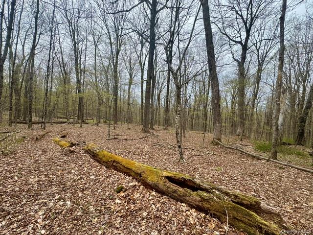 Lot 4 Shaver Hill Road Meridale, NY 13806 - Photo 23 of 45 Gallery Image 23