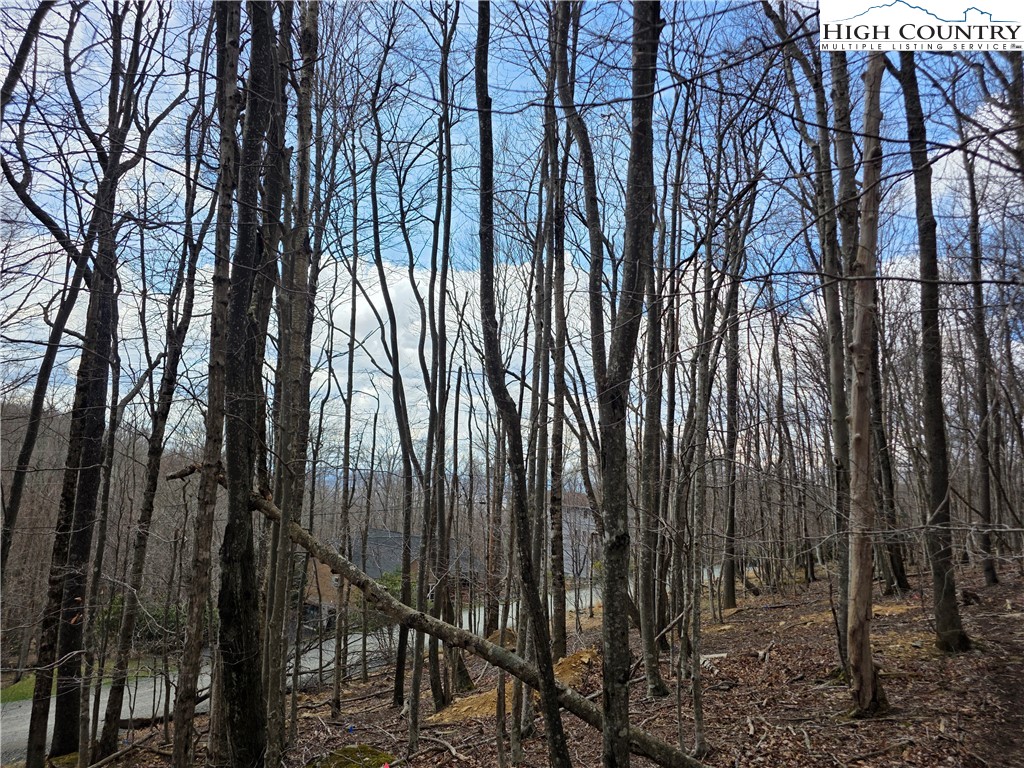 109 Hawthorne Road Beech Mountain, NC 28604 - Photo 1 of 10 a view of outdoor space with lots of trees