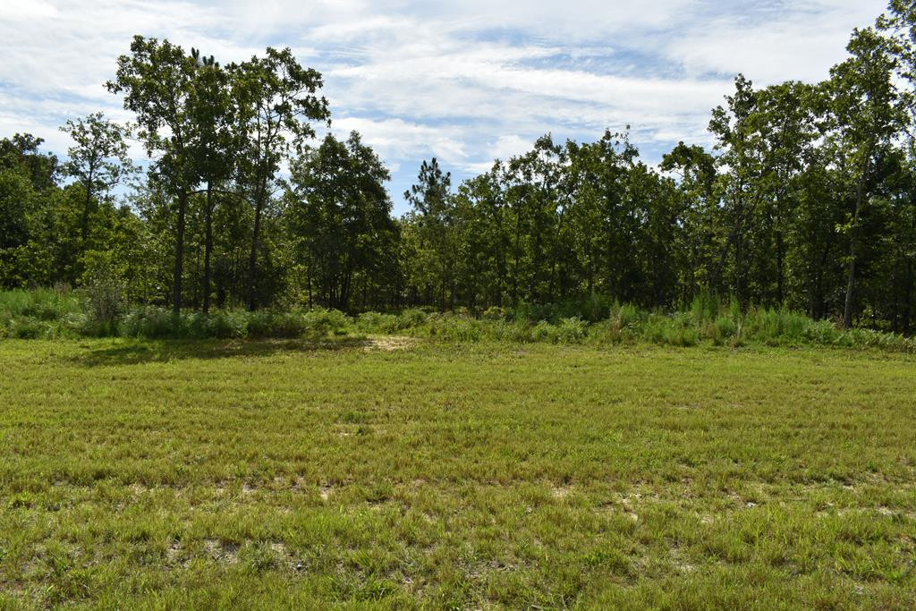 Lot 3 Centerwood Road Windsor, SC 29856 - Photo 1 of 7