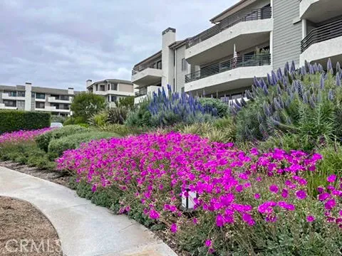 a view of a flower in a garden of a house